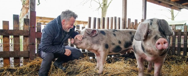 Erneute Ausstrahlung nach Corona-Fällen in Schlachthöfen