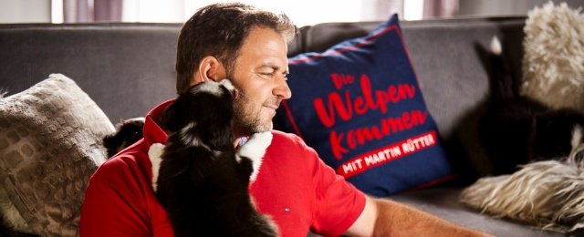 Martin Rütter und Hunde-Rankingshow "Wau!" kehren zurück
