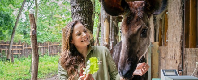 "Tierärztin Dr. Mertens" wird fortgesetzt: Neunte Staffel mit neuem Tierarzt