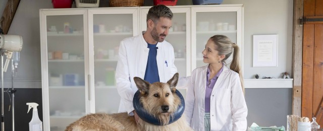 "Tiere bis unters Dach": Frische Folgen der beliebten Familienserie in Sicht