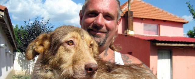 VOX startet ein "Zuhause im Glück" mit Tieren