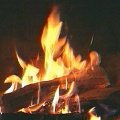 Zuschauer sollen Videos einreichen
