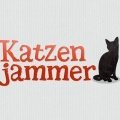 Trainingseinheiten mit der Katzentherapeutin