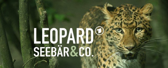 Zoo-Doku-Soap wird nach sieben Jahren fortgesetzt