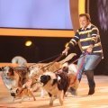 Tierpsychologe spielt mit Promis und ihren Vierbeinern