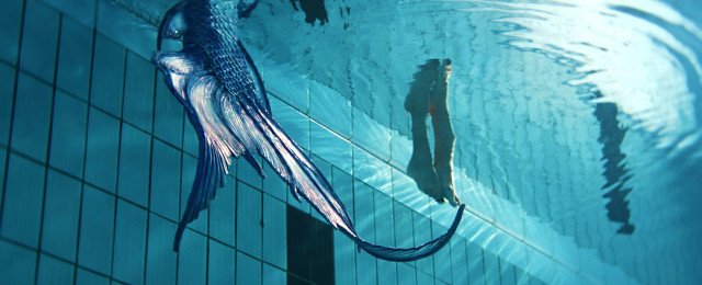 "Mermaids to Lovers": Die neue Young-Adult-Serie, die nicht unbedingt h&auml;lt, was sie verspricht