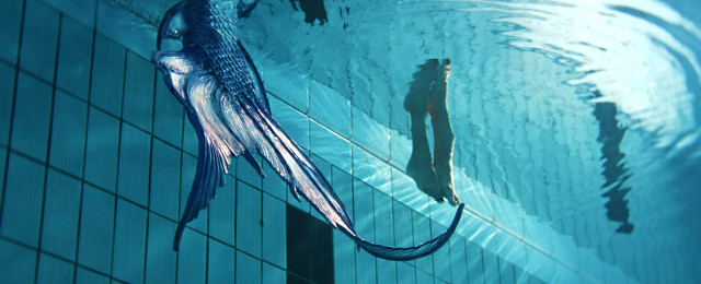 "Mermaids to Lovers": Die neue Young-Adult-Serie, die nicht unbedingt hält, was sie verspricht