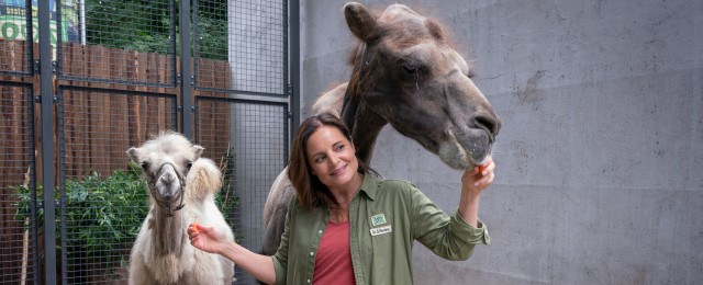 Quoten: Starke "Tierärztin Dr. Mertens"-Rückkehr, "Behringer"-RTL-Krimi gefragt, "Criminal Minds" geht unter