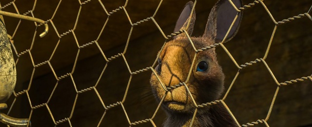 Netflix hält deutsche Rechte an ambitionierter Animationsserie