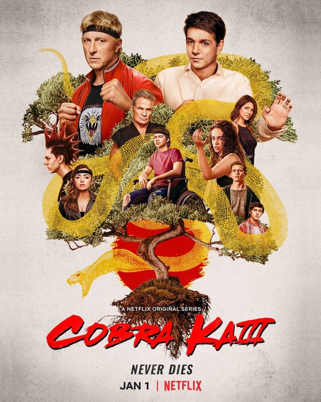 Poster zur dritten Staffel von "Cobra Kai"