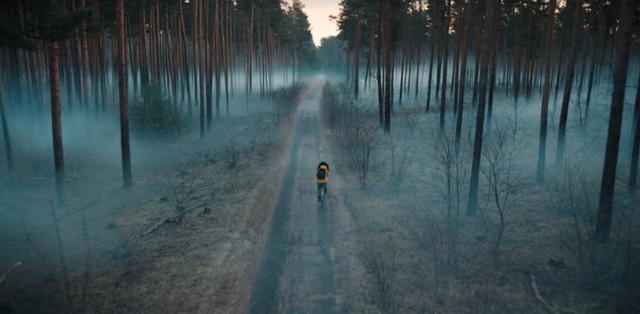 Der bedrohliche Windener Wald