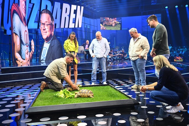 Tierpfleger bringen Schildkröten ins Studio