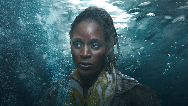 Samantha Crowe (Sharon Duncan-Brewster)