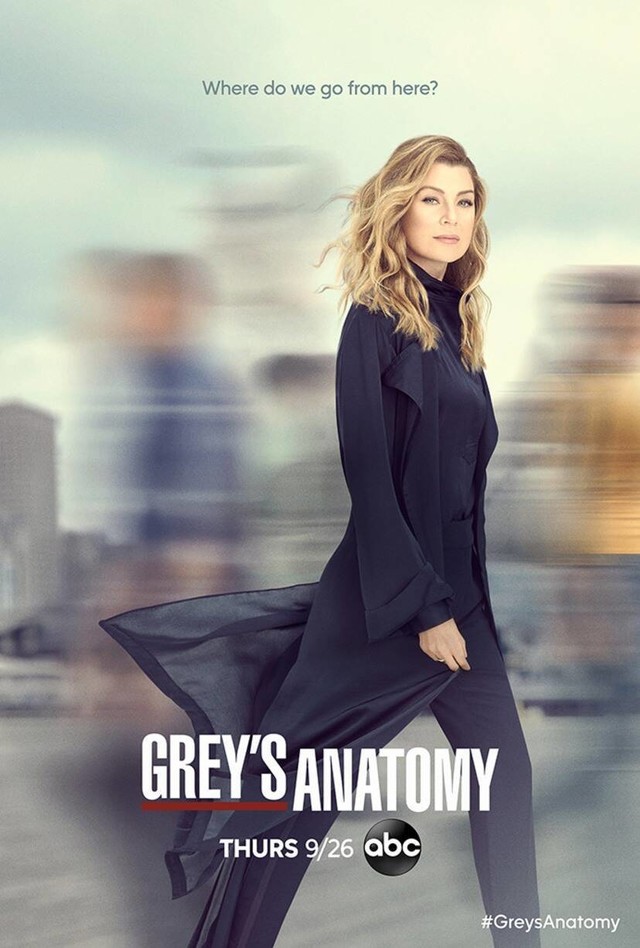 Poster zur 16. Staffel von "Grey's Anatomy"