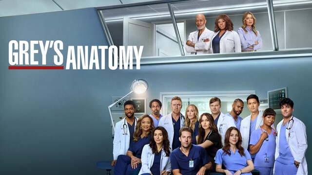 Der Cast von Staffel 22 von "Grey's Anatomy".