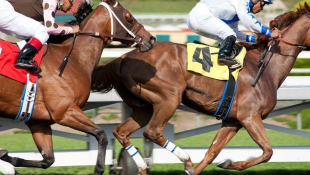 Dreh- und Angelpunkt der Geschichten: die Rennstrecke Santa Anita