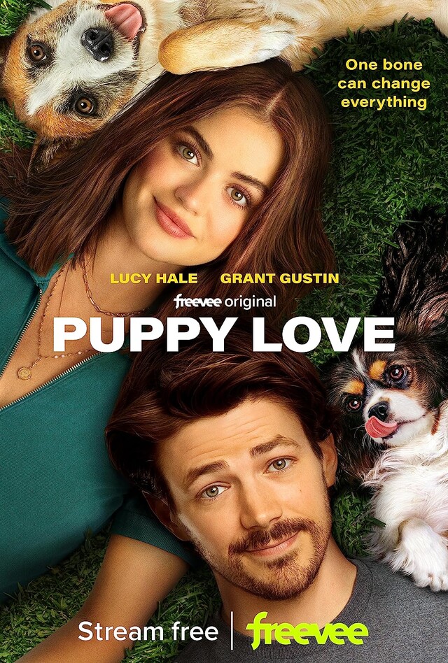 Poster zum Fernsehfilm "Puppy Love"