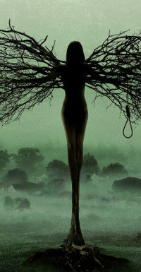 Die realen Hexenprozesse des 17. Jahrhunderts bilden das Grundgerüst der Serie "Salem".