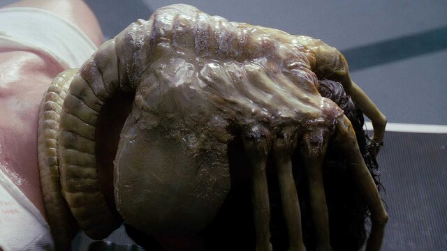 Der Facehugger lässt Kanes (John Hurt) Gesicht nicht mehr los