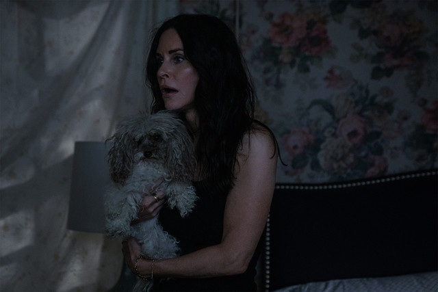 Noch ist Pat (Courteney Cox) ungläubig...