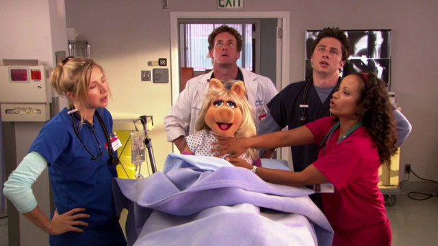 Miss Piggy wird Patientin bei den "Scrubs"