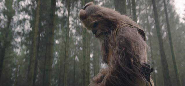 Ein Wookiee brummt im Walde: Kelnacca (Joonas Suotamo), seines Zeichens Jedimeister