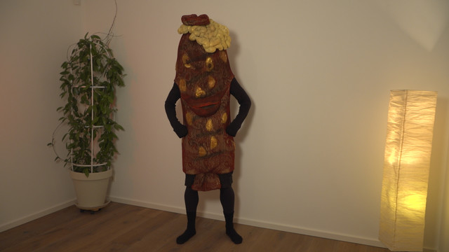 Käsekrainer