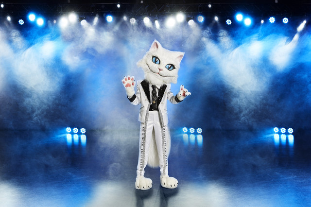 Die Katze