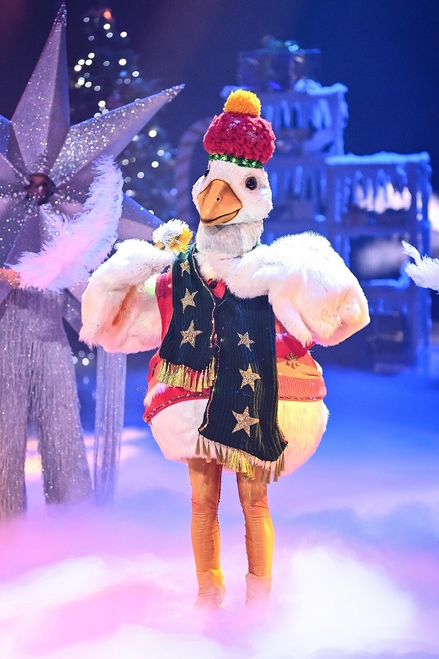Die Gans