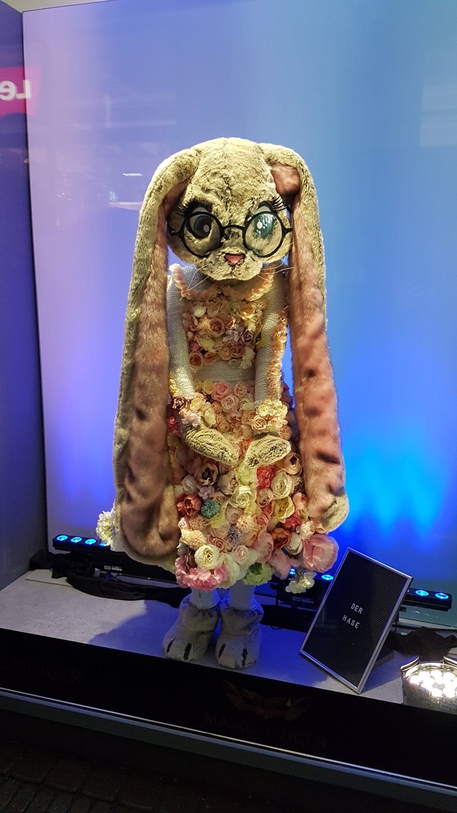 Einfach süß: Der Hase