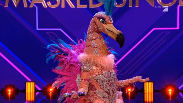 Der Flamingo