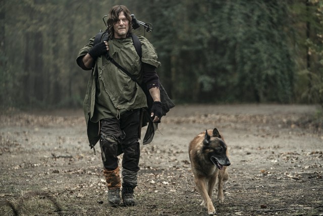 Daryl (Norman Reedus) und Dog sind wieder auf sich allein gestellt.