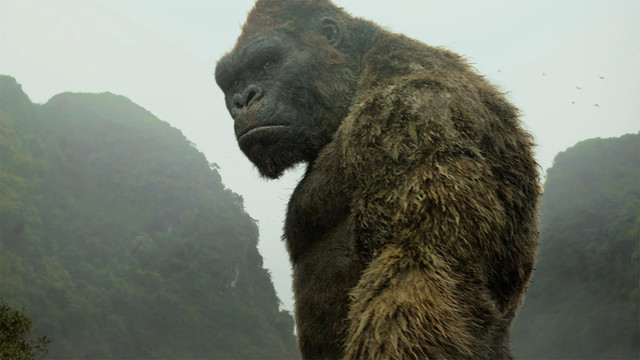 King Kong im Film "Kong: Skull Island" (2017)