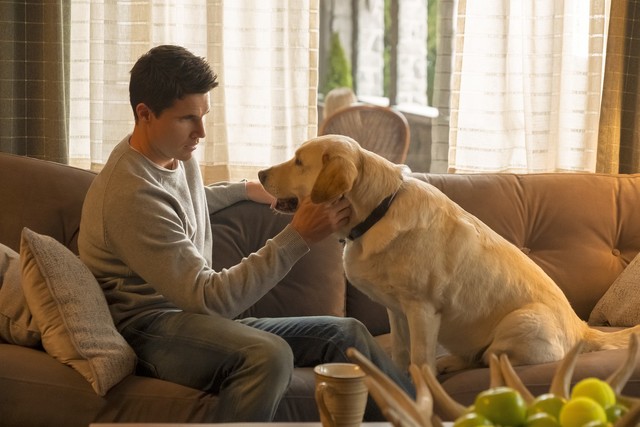 Nathan (Robbie Amell) und sein "Therapiehund" äh Therapeut.