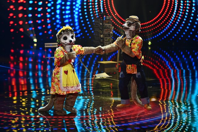 Das erste Duo auf der Bühne von "The Masked Singer": Frau und Herr Erdmann