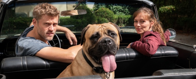 Deutlich kürzer war der Geduldsfaden im Fall von "Der Bulle und das Biest". Mit der Krimiserie mit einem Herrchen-Hund-Duo im Mittelpunkt wollte Sat.1 an goldene