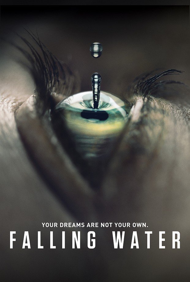 Poster zu "Falling Water"