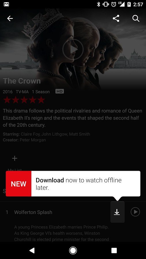 Screenshot der Downloadfunktion in der Netflix-App