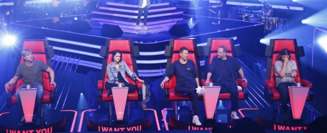 Die Coaches der vierten Staffel