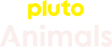 Pluto TV Animals