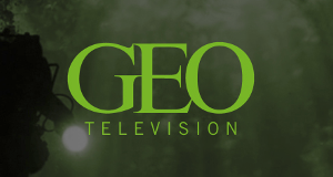 Faszination Hund - Unsere besten Freunde