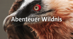 Abenteuer Wildnis