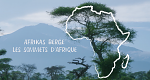 Afrikas Berge (D, 2024 – )
