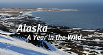 Alaska: Ein Jahr in der Wildnis (GB, 2017 – )