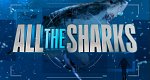 All the Sharks (USA, 2025 – )