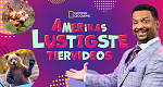 Amerikas lustigste Tiervideos (USA, 2021 – )