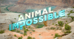 Animal Impossible – Tierische Tatsachen (GB/RC, 2020 – )