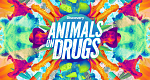 Animals on Drugs