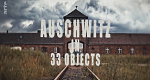 Auschwitz in 33 Objekten (F, 2023 – )
