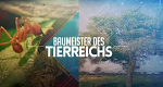 Baumeister des Tierreichs (F, 2021 – )